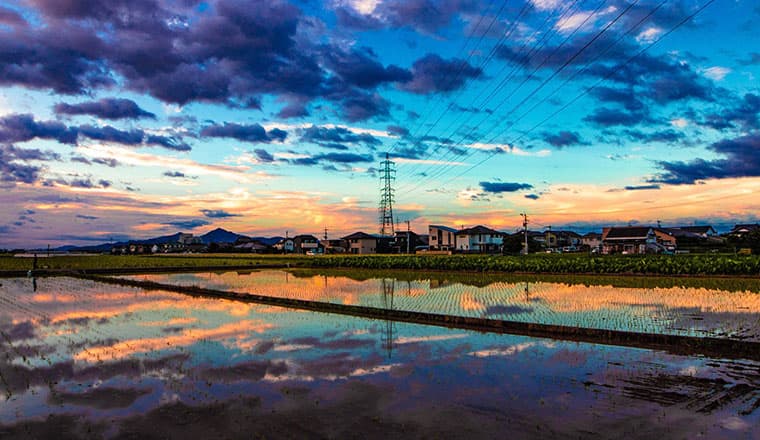 配图1